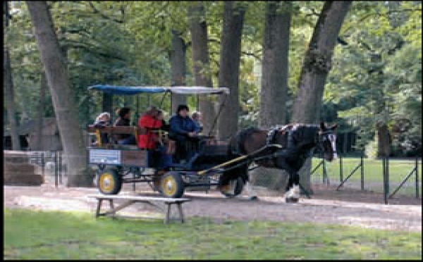 La Grande Chasse aux Oeufs 2008 au Château de Valençay
