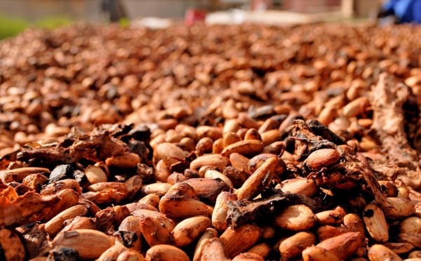 Le monde du Chocolat aident les agriculteurs du cacao à lutter contre le coronavirus