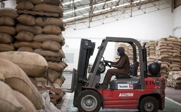 Protection renforcée chez Barry Callebaut pour ses Cocoa Farmers