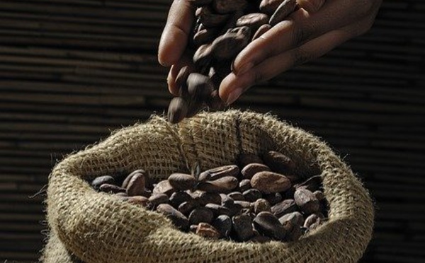 Quel sera le marché de Cacao et du Chocolat en 2026 ?