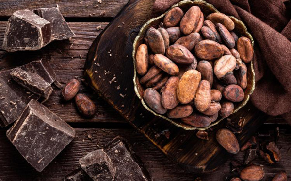 Cocoa VS Cacao : une différence fondamentale dans certains territoires du globe
