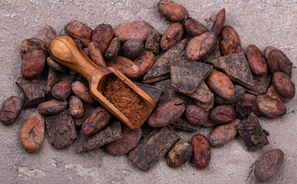 South Pacific Cacao, l’un des rares magasins de chocolat de la fève à la barre à Sydney