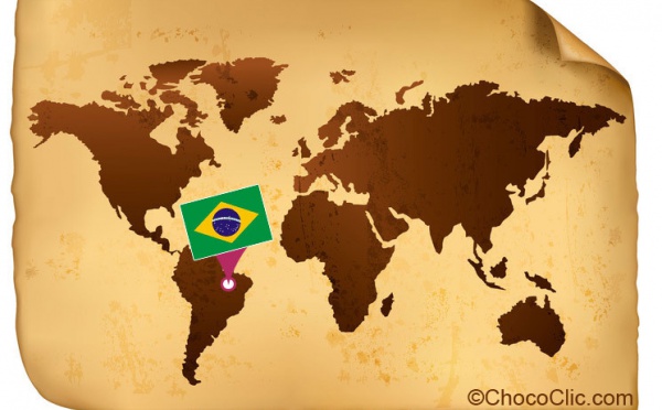 La provenance des fèves de cacao du Brésil
