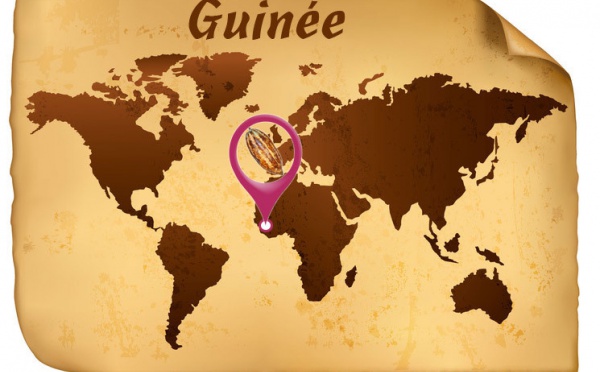 La provenance des fèves de cacao de Guinée en Afrique
