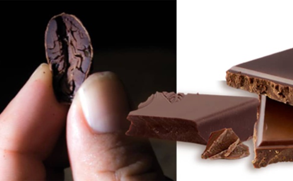 Évaluation du goût sucré du chocolat sur la base de mesures tribologiques