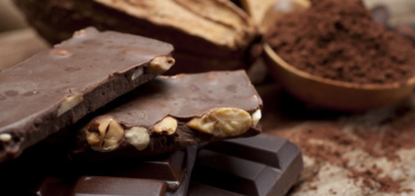 Chocomuséos, les musées du cacao