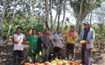 La terre, la forêt, le cacao et vous