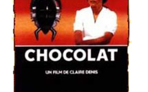 Film : Chocolat