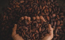 Confédération des Chocolatiers : acteur du progrès social de la filière cacao.