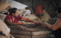 Tulakalum, le chocolat de couverture dédié aux artisans du goût.
