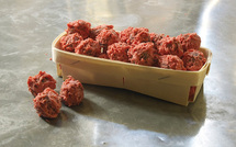 La papaline d’Avignon