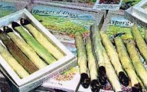 Les Asperges d'Alsace en Chocolat