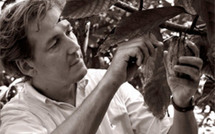 Baracoa : Le terroir cubain où cacao rime avec émotion et profondeur