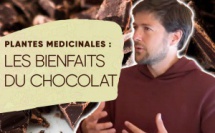 Interview avec Loïc Plisson à propos du sommet des plantes médicinales (chocolat)