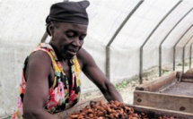 Le rendez-vous de tous les passionnés du chocolat