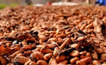 Le monde du Chocolat aident les agriculteurs du cacao à lutter contre le coronavirus