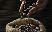 Quel sera le marché de Cacao et du Chocolat en 2026 ?