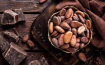 Cocoa VS Cacao : une différence fondamentale dans certains territoires du globe