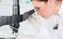 L'aspect micro biologique du chocolat