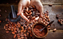Le chocolatier belge Godiva rejoint la Fondation Earthworm