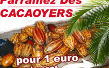 Plantez des cacaoyers au Vietnam