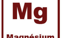 Le Magnésium