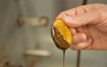 L’histoire de la Maison Le Lautrec