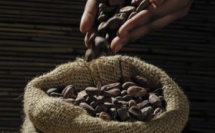 Le cacao ivoirien : une source  d’inspiration