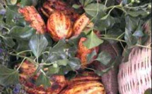 La première chocolaterie de Côte-d’Ivoire