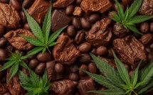 Quand le chocolat rencontre le CBD : une alliance apaisante au cœur des tendances bien-être