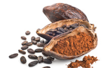 Mason &amp; co, le chocolat made in India