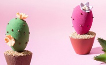Des cactus soufflent un air d’été chez le chocolatier Lenôtre