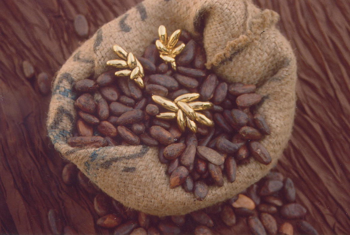 Boucles d'oreilles en or fin fèves de cacao n3