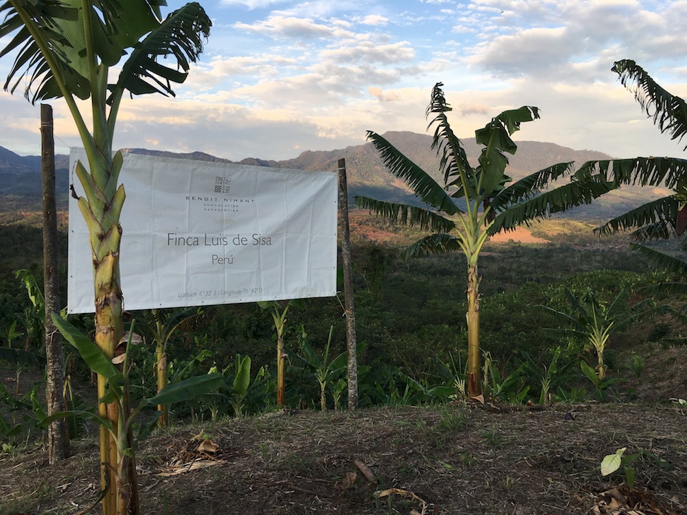  La plantation de Benoit Nihant au Pérou©