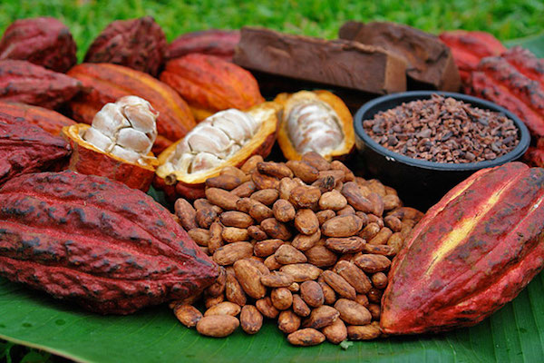 Cacao Biologique©Metizo