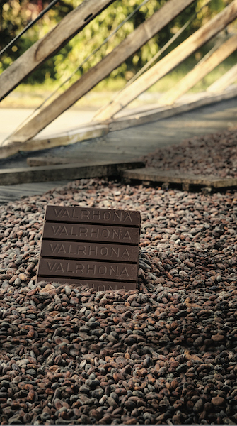 Valrhona - fève de cacao - tablette de chocolat©